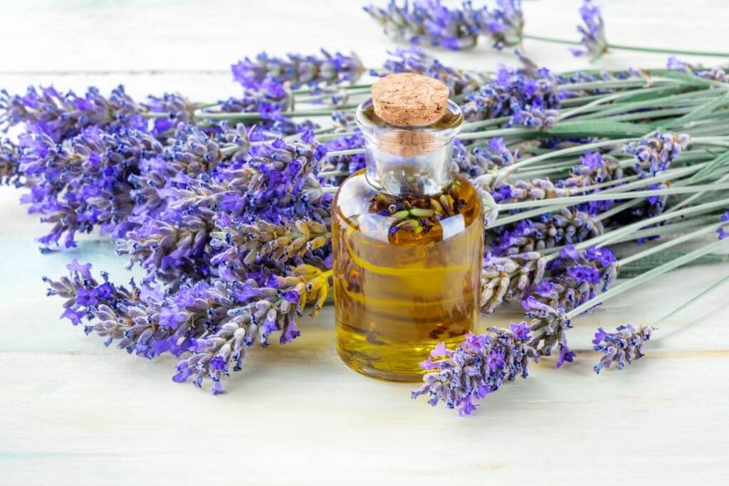 Lavender Oil- Herbal Hair oil-www.herbalvoice.lk